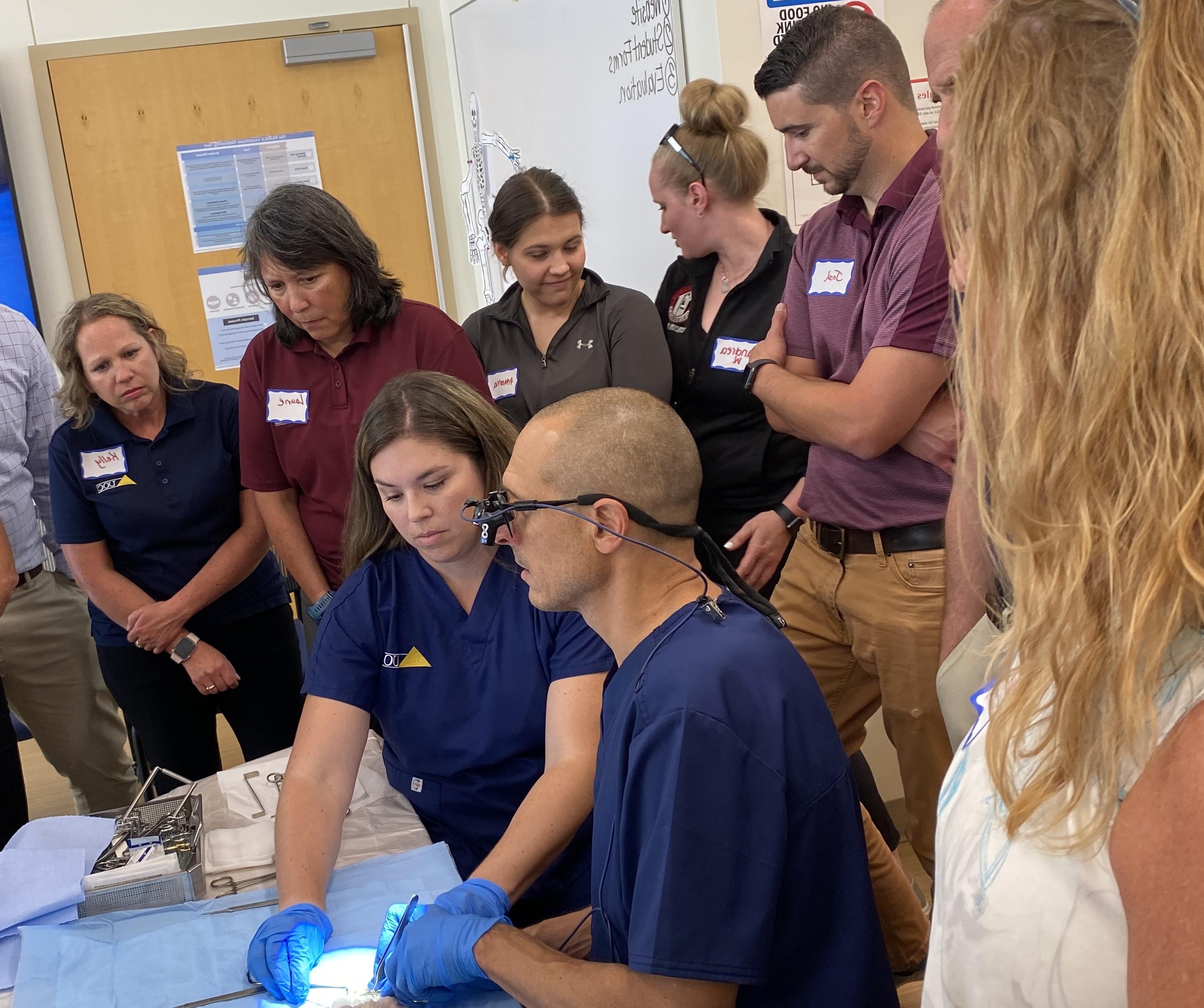 7月，来自12个国家的医疗保健专业人员参加了SFU的免费互动解剖实验室体验. 